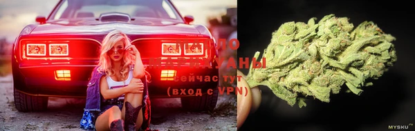 шишки Нефтекумск
