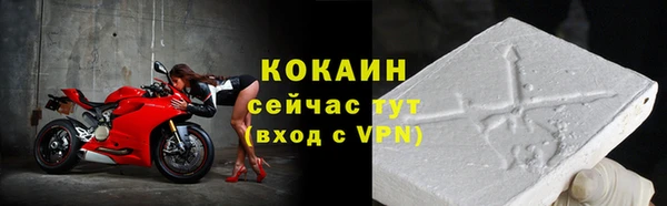 твердый Лабытнанги