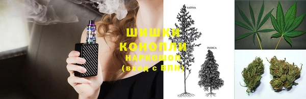 дживик Гусиноозёрск
