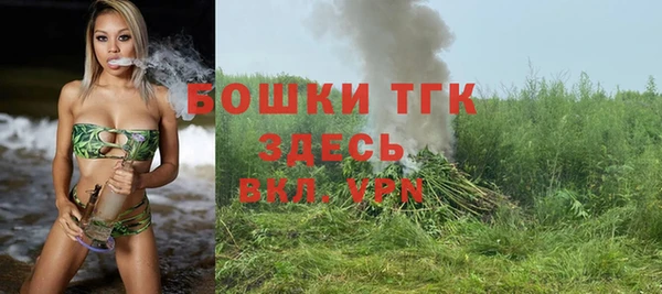 твердый Лабытнанги