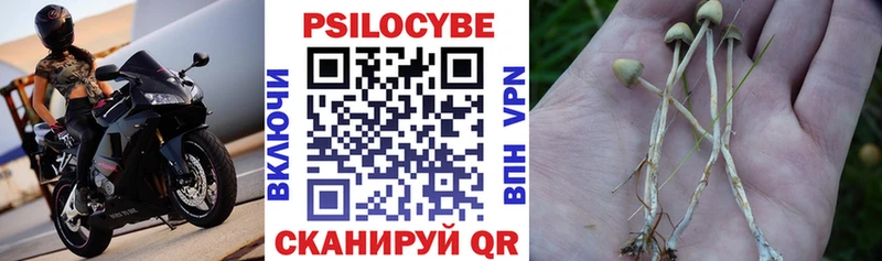 Псилоцибиновые грибы Cubensis Домодедово