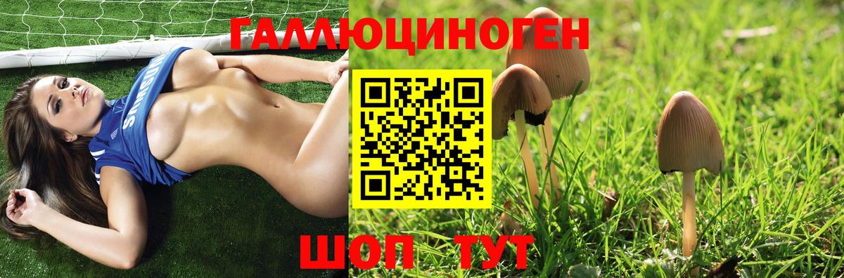 Псилоцибиновые грибы Psilocybe  купить  сайты  Домодедово 