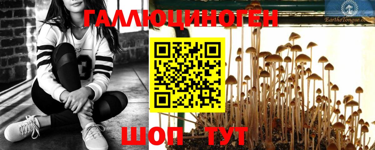 Галлюциногенные грибы прущие грибы  Псилоцибиновые грибы Cubensis  Вход с VPN  Домодедово 