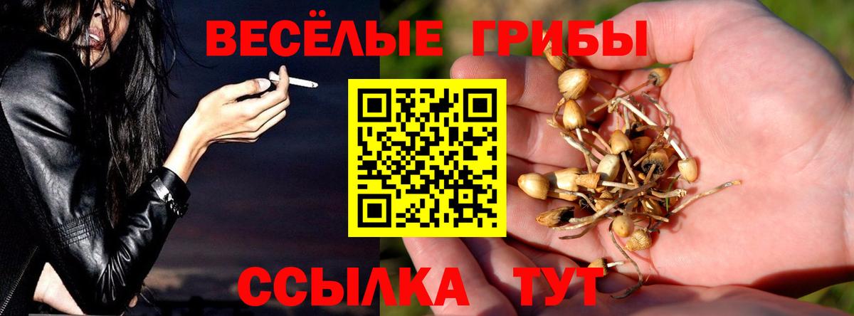 Галлюциногенные грибы мухоморы Домодедово